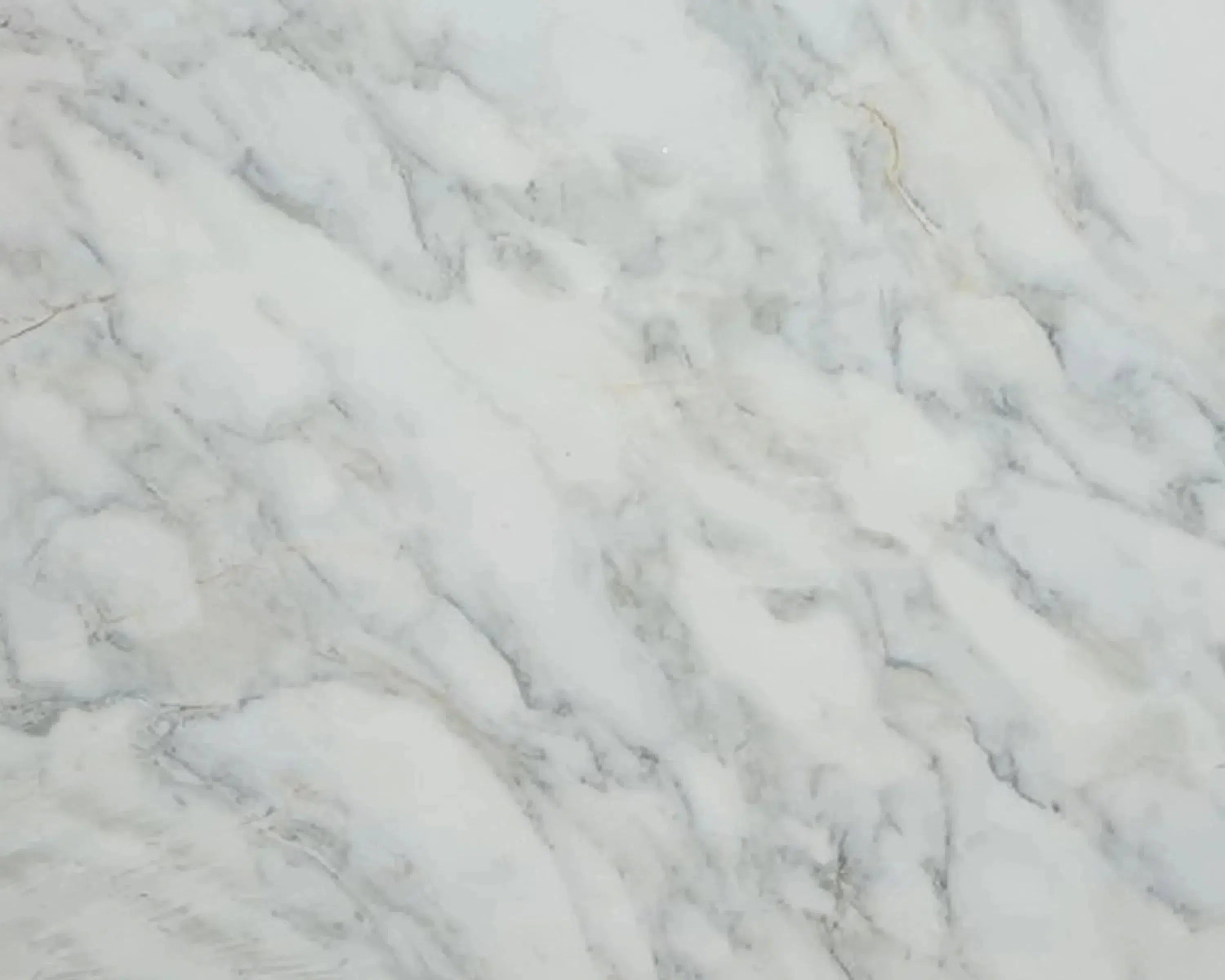 Calacatta Oliva Marble