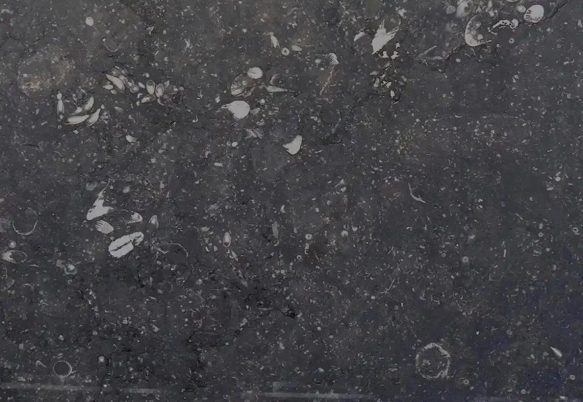 Pierre Bleue (Belgium Blue) Marble