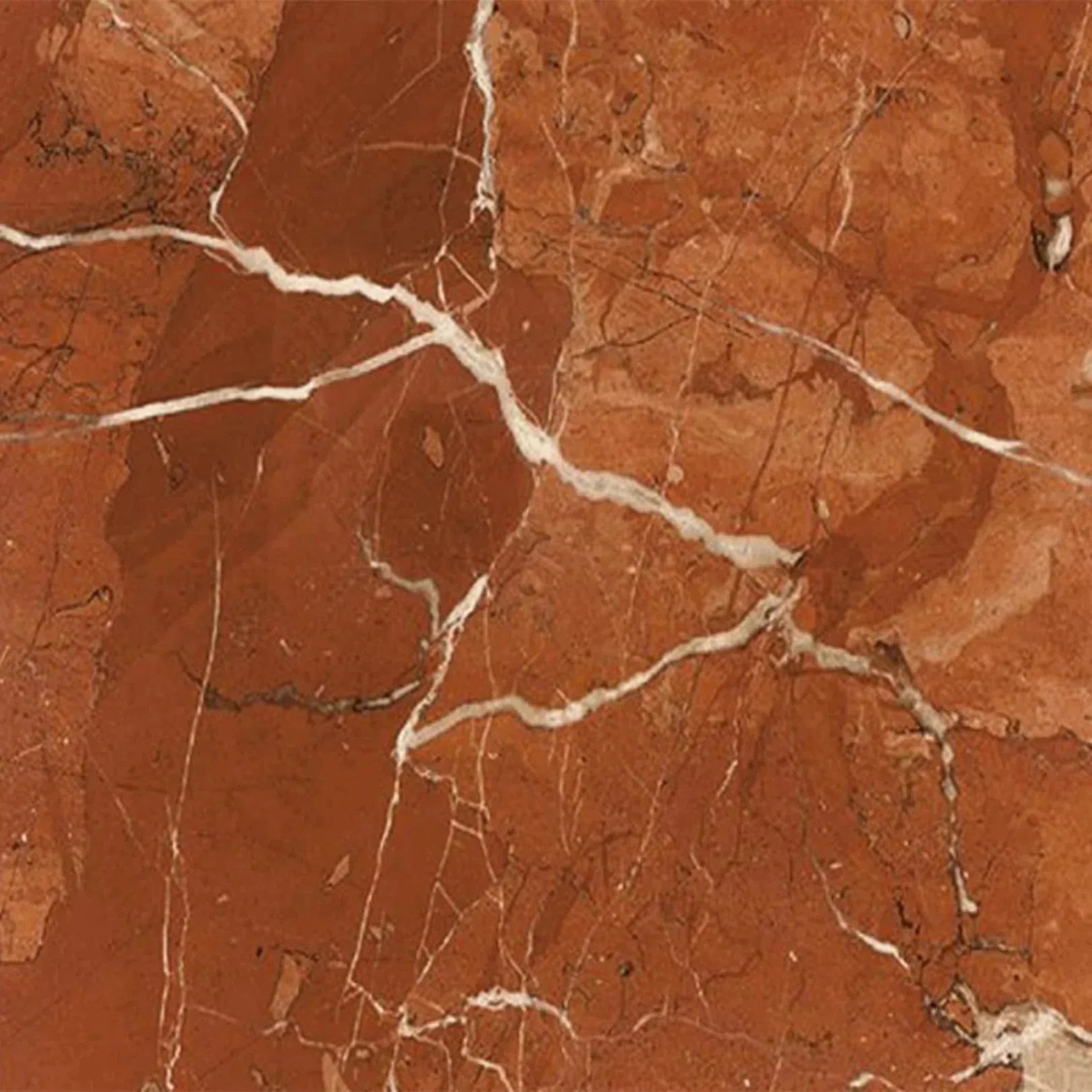 Red marble slab with white veining from the Rojo Alicante Marble collection.