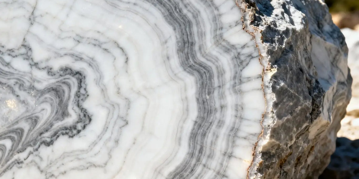 The Beautiful Birth of Marble from Sea Shells to Surfaces– SurfacesGalore