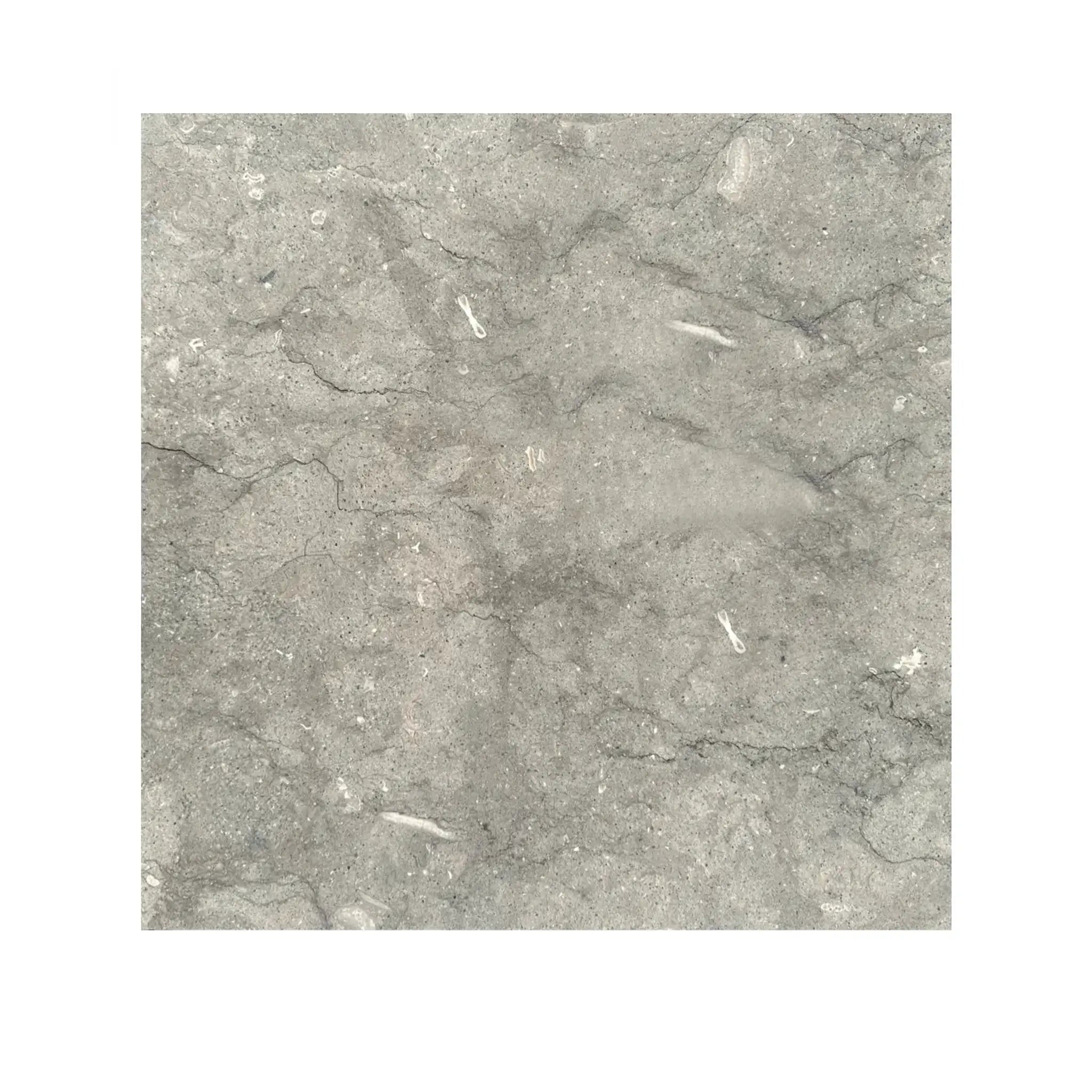 Seagrass Limestone gray stone tile with natural veining and subtle texture