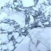Arabescato Corchia 12X12 Polished or Honed Carrara Marble Tiles Display Image