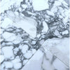Arabescato Corchia 12X12 Marble Tile showcasing white and gray polished or honed finish