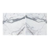 Two Arabescato Corchia 12X12 Marble Tiles featuring elegant gray veining