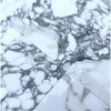 Arabescato Corchia 12X12 Marble Tile showcasing white and gray polished or honed finish