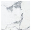 White marble slab with elegant gray veining in Arabescato Corchia 12X12 tile