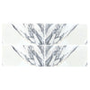 Four Arabescato Corchia 12X24 Marble Tiles in Polished or Honed Finish
