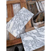 Polished Arabescato Corchia 12x24 marble tile with white gray veined slabs