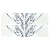 Four Arabescato Corchia 12X24 Marble Tiles in Polished or Honed Finish