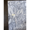 Polished Arabescato Corchia 12x24 white gray marble tile with veining