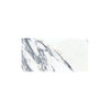 White marble slab with gray veining in Arabescato Corchia 12X24 Polished or Honed tile