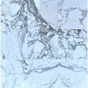 Carrara marble tile arrangement of Arabescato Corchia 18X18 polished or honed finish