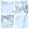 Four marble tile samples of Arabescato Corchia 18X18 polished or honed finish