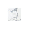 Square Arabescato Corchia 18X18 Marble Tile in polished and honed finish
