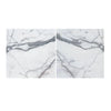 Two polished Arabescato Corchia 18X18 marble tiles featuring gray veining
