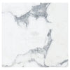 White marble slab with gray veining in Arabescato Corchia 18X18 Marble Tile