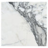 White marble slab with gray veining in Arabescato Corchia 18X18 Marble Tile