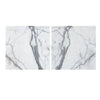 Arabescato Corchia 18X18 Marble Tile Polished with white marble slabs and gray veining