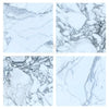 Four marble tile samples of Arabescato Corchia 18X18 polished or honed finish