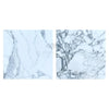 Two Arabescato Corchia 18X18 Marble Tiles in polished and honed finishes