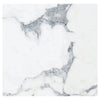 White marble slab with gray veining for Arabescato Corchia 18X18 Marble Tile