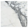 White marble slab with gray veining in Arabescato Corchia 18X18 Marble Tile