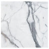 White marble with gray veining in Arabescato Corchia 18x18 polished honed tile
