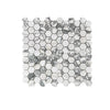 White and gray Arabescato Corchia 2-inch hexagon polished mosaic tile