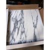 Arabescato Corchia 24x24 polished marble tile coaster set with black veining