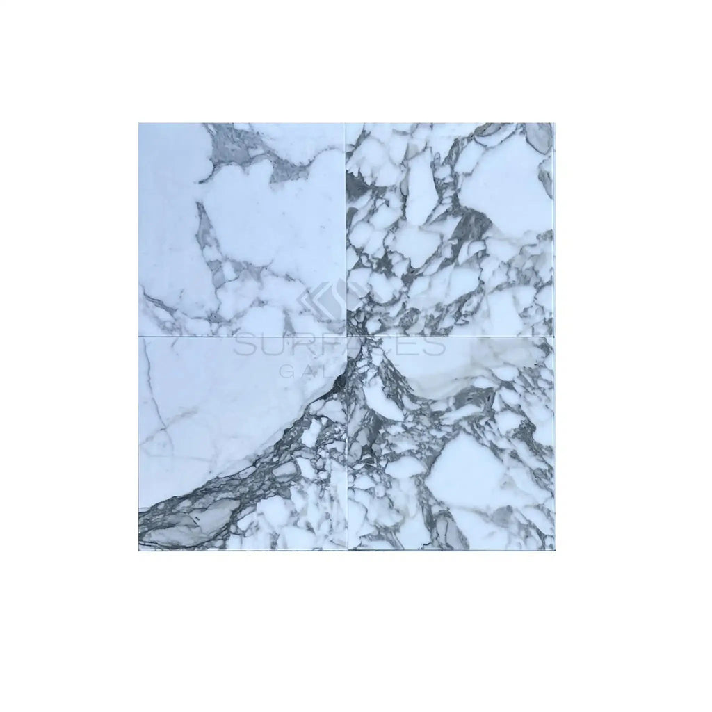 Arabescato Corchia 24X24 Marble Tile in polished and honed finishes displayed together