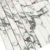 Marble-patterned rectangular tiles of Arabescato Corchia Marble 1 1/8 X 12 Mosaic