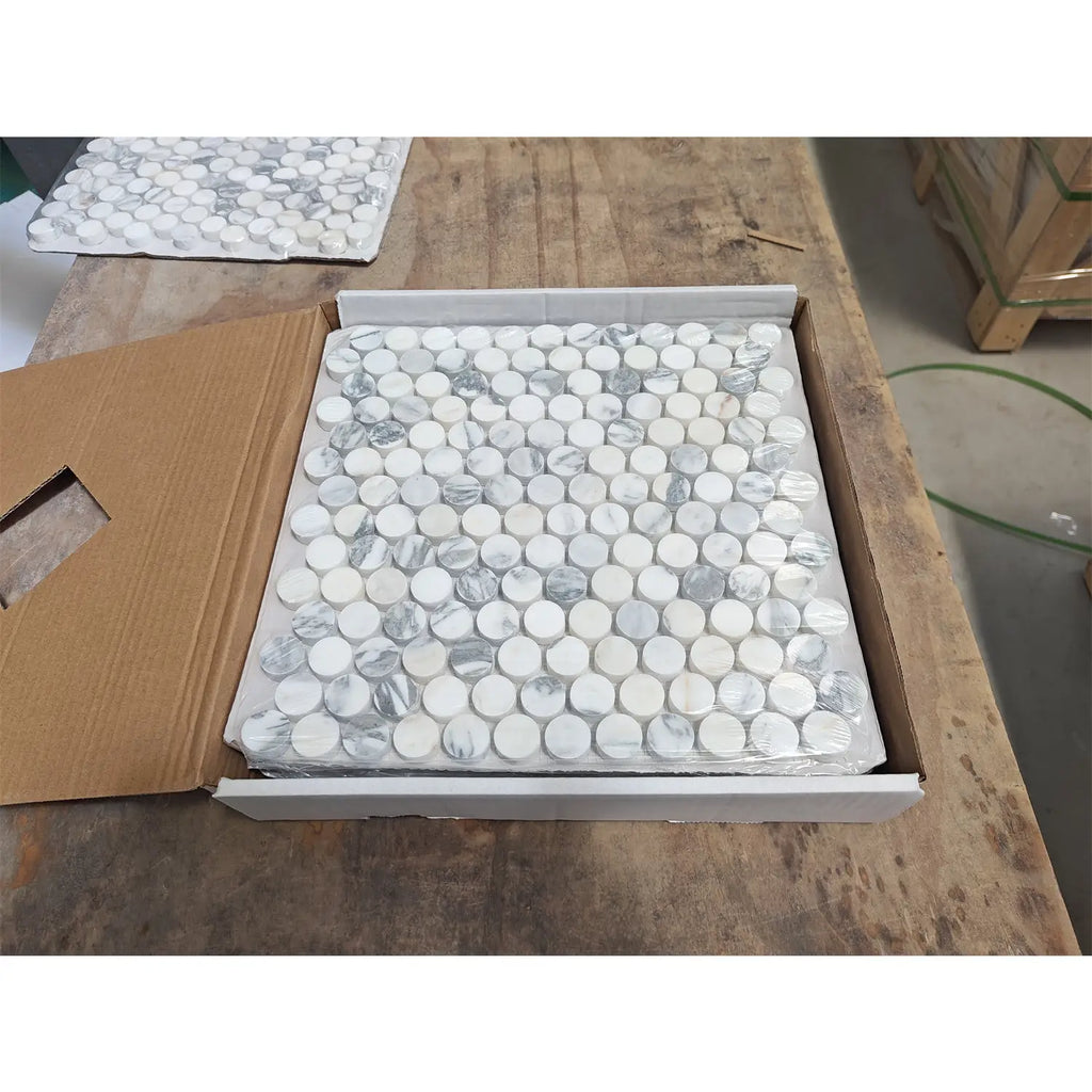 White Arabescato Corchia PennyRound polished marble mosaic tiles in box