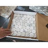 Arabescato Corchia PennyRound white mosaic tiles in box