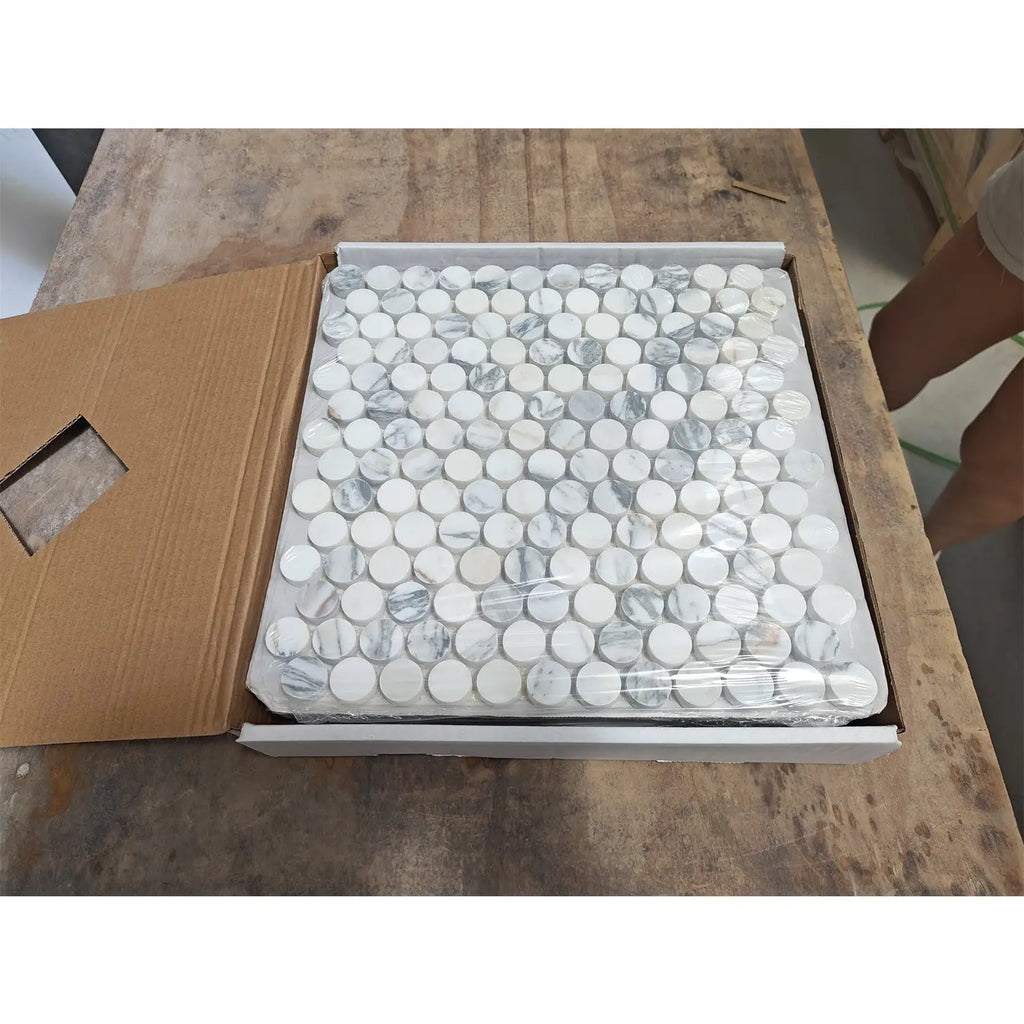 Arabescato Corchia PennyRound white marble mosaic tiles in polished circular pattern