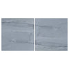 Two gray marble tiles of Bardiglio Imperiale 12X12 polished or honed finish