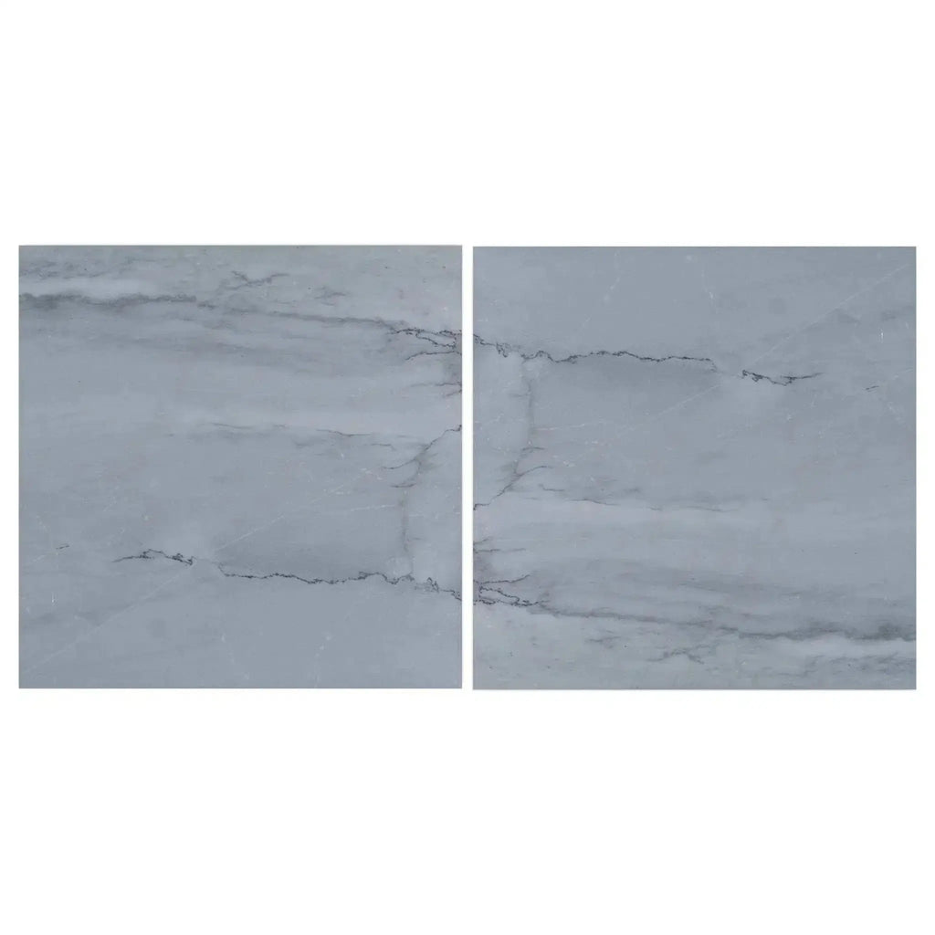 Two gray marble tiles of Bardiglio Imperiale 12X12 polished or honed finish