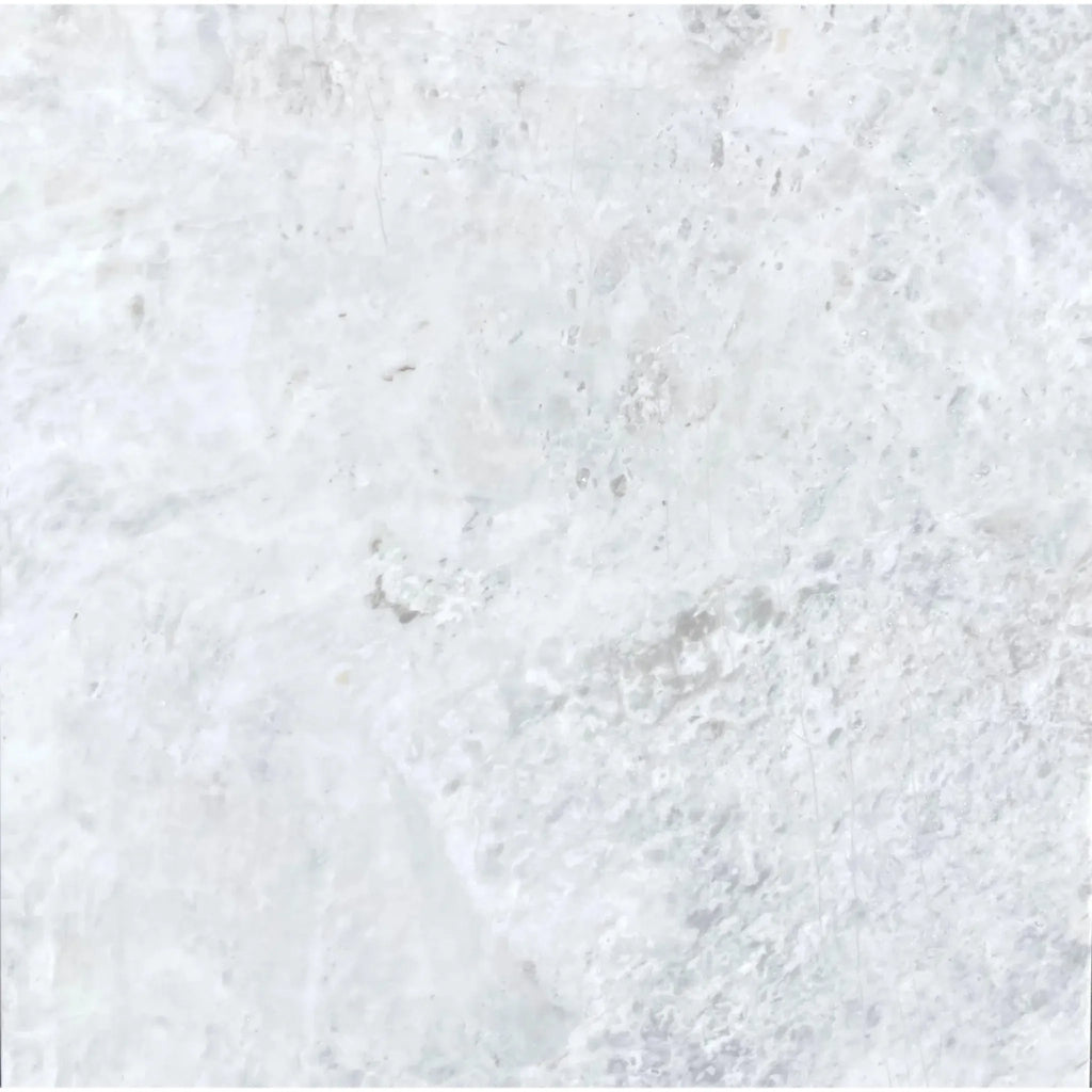 Bianco Congelato 6X12 Dolomite Leathered with elegant white marble texture