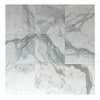Calacatta Bettogli 12X12 Polished Marble Tile showcasing nine elegant marble-patterned tiles