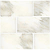 Calacatta Oliva Marble 12X24 Tile polished and honed in elegant arrangement