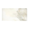 Calacatta Oliva Marble 12X24 Tile Polished or Honed Rectangular Marble Slab