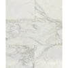 White marble tile pattern of Calacatta Oliva Marble 12x24 polished or honed tile