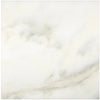 Calacatta Oliva Marble 18X18 Tile in polished or honed white marble finish