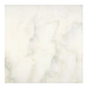Calacatta Oliva 24X24 Polished or Honed Square Marble Tile for sophisticated interiors
