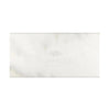 Calacatta Oliva Marble 3X6 Deep-Beveled Tile Polished-Honed Rectangular White Slab