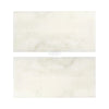 Two rectangular white Calacatta Oliva Marble 3X6 tiles polished or honed