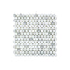 Calacatta Oliva Marble Penny Round Mosaic Tile in White and Gray Polished Finish