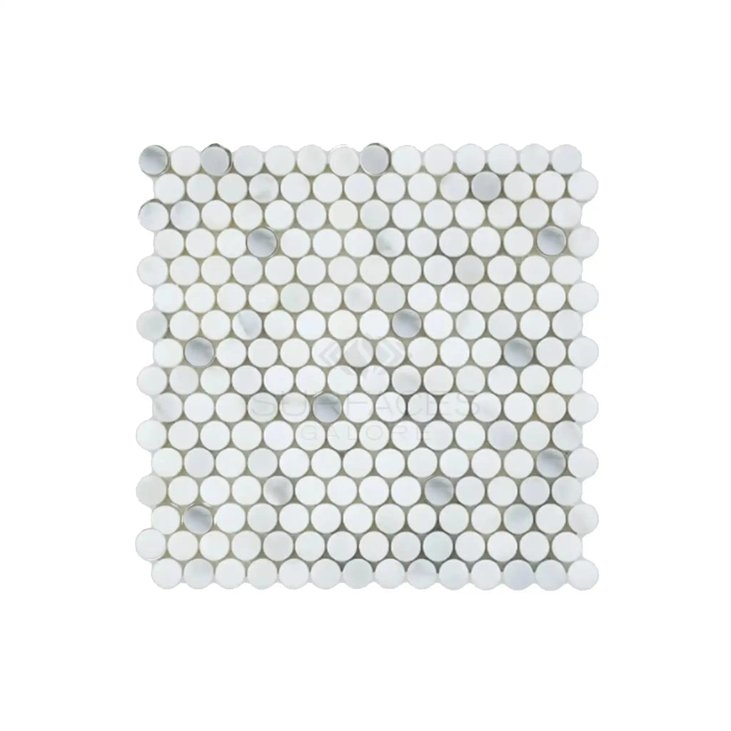 Calacatta Oliva Marble Penny Round Mosaic Tile in White and Gray Polished Finish