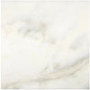 Calacatta Oliva Marble 18X18 Tile in polished or honed white marble finish