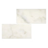 Two rectangular Calacatta Oliva Marble 18X36 tiles in polished and honed finishes