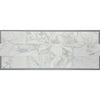 Calacatta Oliva Marble 18x36 tile with white marble subway style backsplash and grey veining